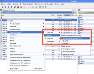 Clique na imagem para ampliar